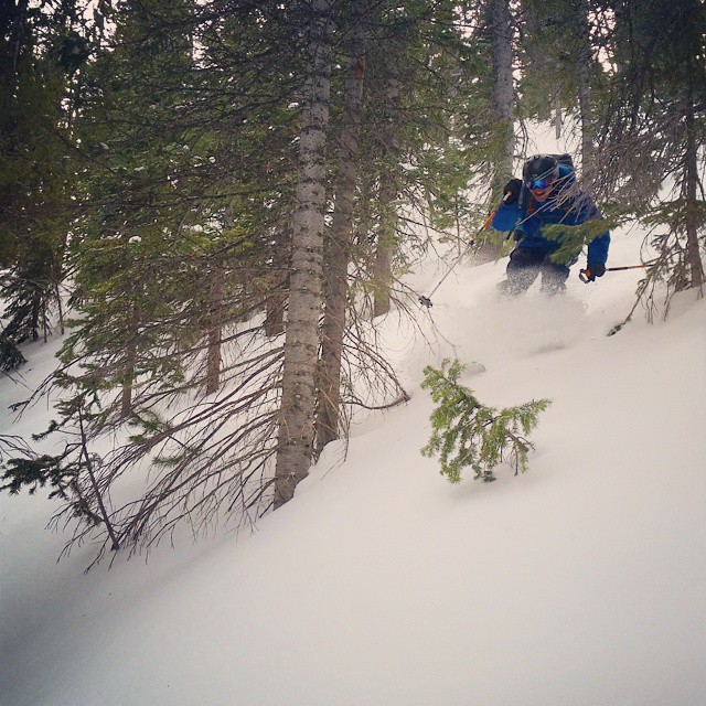 10941215_10153090717608799_2585764521961069306_n