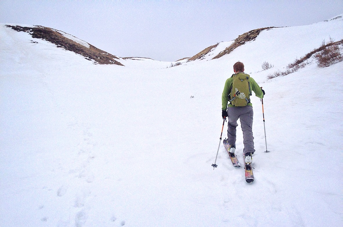 1493325_621205613349_6027949515483045164_o