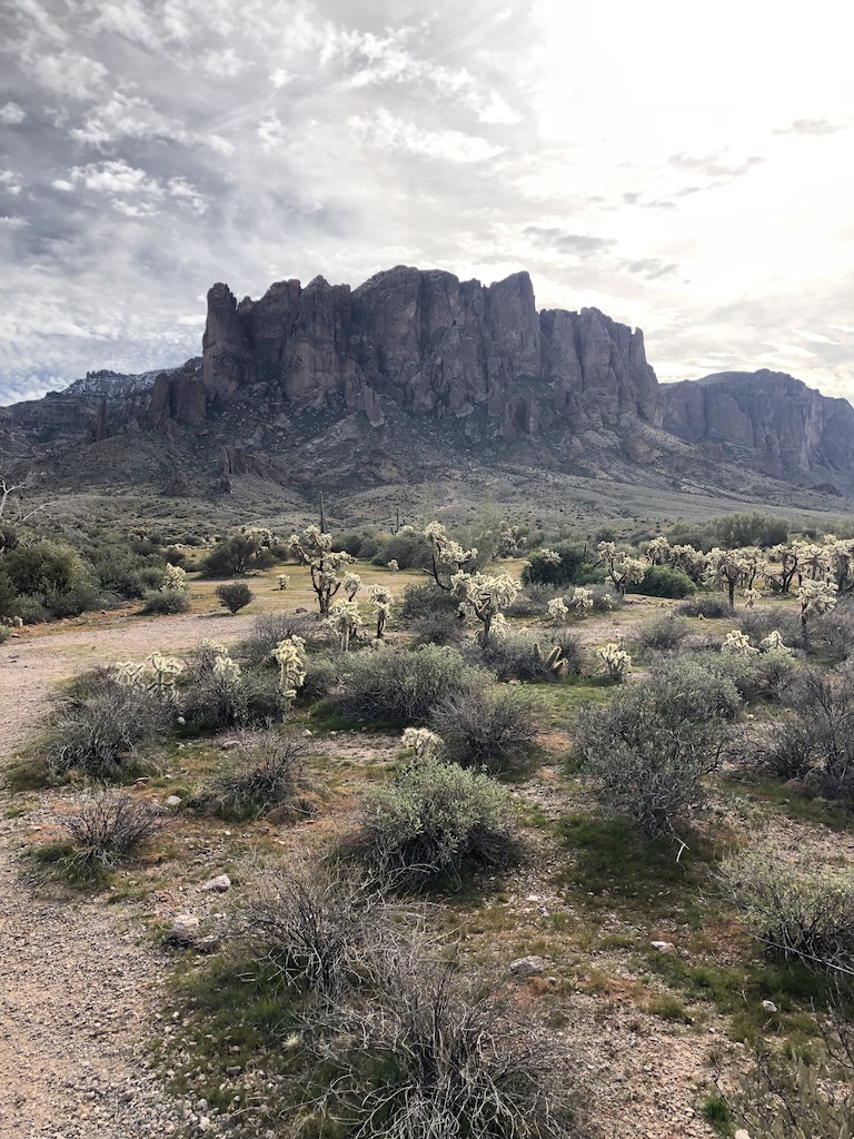 unadjustednonraw_thumb_643d